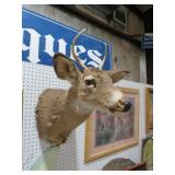 MOUNTED DEER HEAD