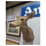 MOUNTED DEER HEAD