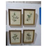 (4) FRAMED BIRD PRINTS - ARTIST SIGNED