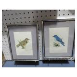 (2) FRAMED BIRD NEEDLEPOINTS