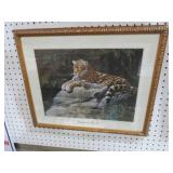 FRAMED JAGUAR ON ROCK PRINT - ARTIST SIGNED