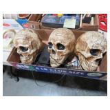 COLLECTION OF SKULLS
