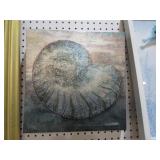 UNIQUE SEASHELL ON CANVAS