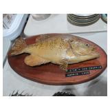 VTG CRAPPIE FISH TAXIDERMY
