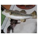 NICE LG MOUTH BASS TAXIDERMY