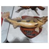 VTG SAUGER FISH TAXIDERMY