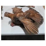 VTG GROUSE TAXIDERMY