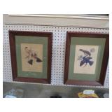 PAIR OF FRAMED BIRD PRINTS