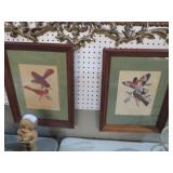 FRAMED AND MATTED BIRD PRINTS