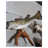 VTG LARGE MOUTH BASS TAXIDERMY