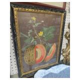 FRAMED VTG FRUIT PRINT