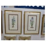 PAIR OF ARTIST SIGNED FLORAL PRINTS