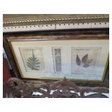 FRAMED & SIGNED PLANT LIFE WALL HANGING
