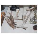 SET OF ANTLERS