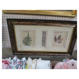 FRAMED PLANT LIFE & FERNS WALL DECOR