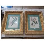PAIR OF GOLD ORNATE FRAMED FLORAL PRINTS