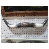SET OF STEER HORNS