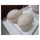 (2) CERAMIC OSTRICH EGGS