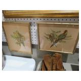 PAIR OF VINTAGE FRAMED BIRD PRINTS