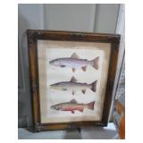 NICE FRAMED FISH PRINT