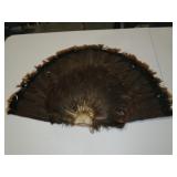 LARGE TURKEY FAN TAIL
