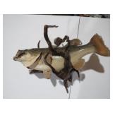 SMALL MOUTH BASS ON DRIFTWOOD