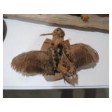 SMALL WOODCOCK BIRD MOUNT