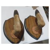 PAIR OF DEER HOOVES