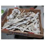COLLECTION OF PLASTIC SKELETON BONES