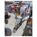 EUROPEAN DEER SKULL MOUNT 10 POINT
