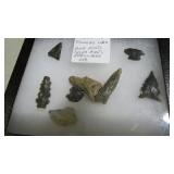 BIRD, SPEAR, ARROWHEAD & POINTS FR DOUGLAS LAKE