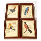 BIRD EMBROIDERY PICTURES