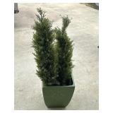 Artificial Cedar Topiary in Square Tub Planter