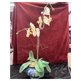 collectible artificial orchid arrangement housed