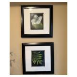3pc Set Greenery Plant/Botanical Hanging Photos