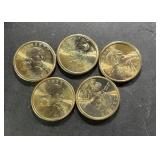 United States Sacagawea one-dollar coins.