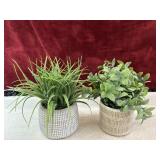 Artificial plants  Kalalou and grass planters.