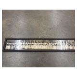 Vintage "yard long" panoramic photograph.