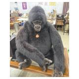 Large Stuffed gorilla bought at the san Diego