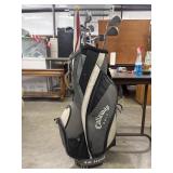 Gray and white Callaway Big Bertha Golf Bag