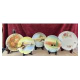 5 pc. hand-painted porcelain plate wire hanging