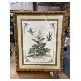 Framed Bird Print