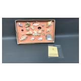 Vintage Collection Sea Shells & Pygmy Seahorse