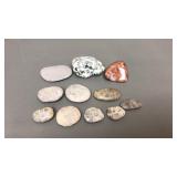 Petoskey Stones & Unique Rocks