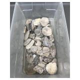 Collection Of Petosky Stones