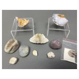 Petosky Stone, Fancy Rocks & Geode