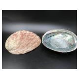 Xl Vintage Abalone Iridescent Shells