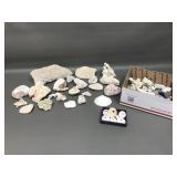 Unique Collection Sea Urchins, Coral & Shells