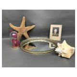 Max Factor Cat, Giant Starfish, Conch Shell & More