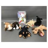 Color Me Beanie Birthday Kit & More!